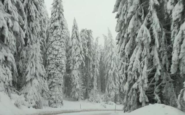 SANS Lux Apartman N42 Milmari Kopaonik