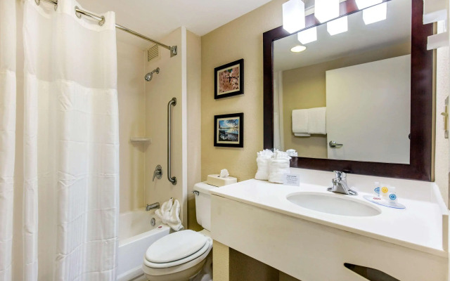 Comfort Inn College Park North