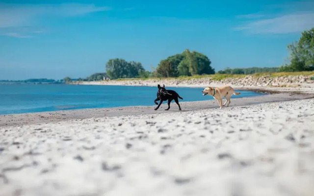 Ferienhaus in Damp for 8 Personen