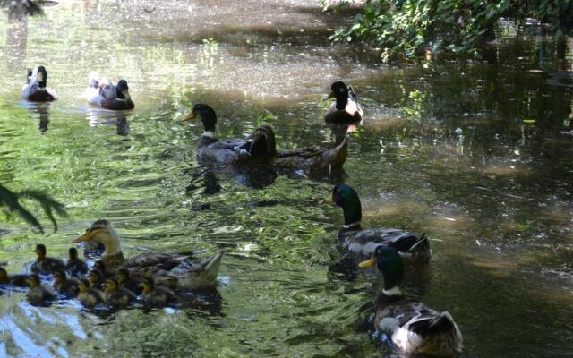 Cabañas Parque Salto Del Laja