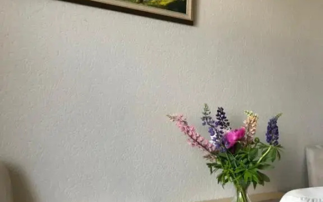 Ezera street apartment 9