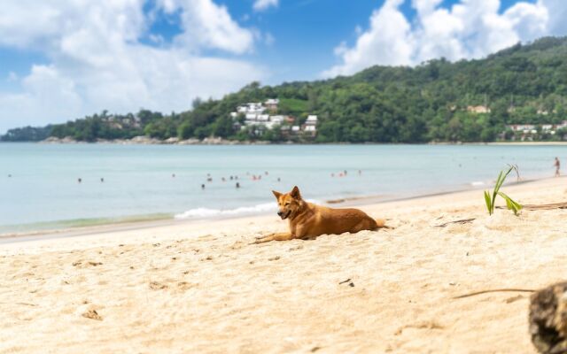 Kamala Beach Front Villas