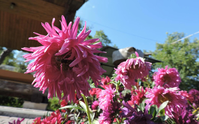 Садиба "Три Царі"