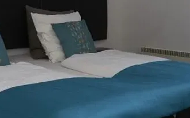 Hotel Gudenå