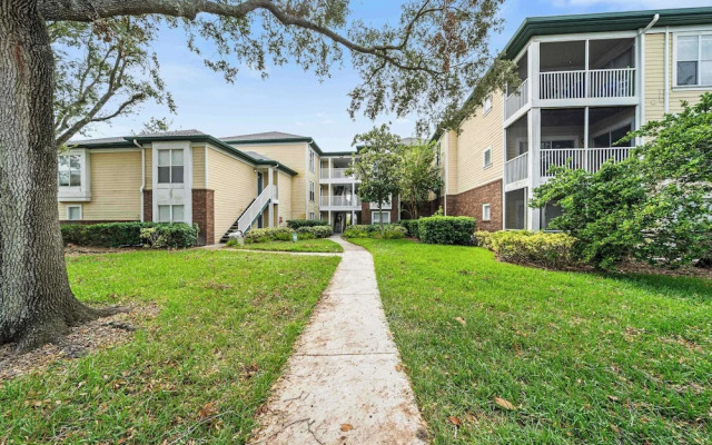 The Urban Oasis Serene Views!