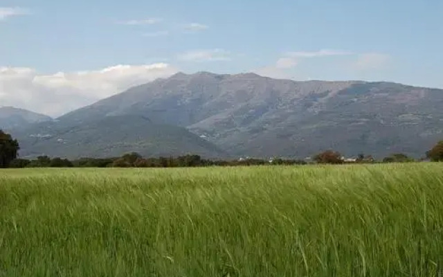 Turó de L´Home