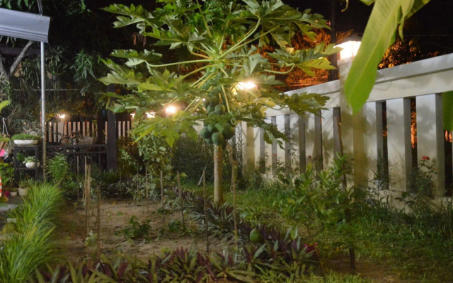 Joy Hoi An Homestay