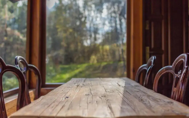 Wypoczynek pod Lipą