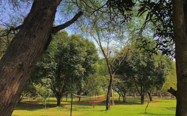 Lumbini Buddha Garden Resort