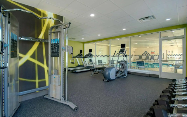 Hilton Garden Inn Detroit Metro Airport