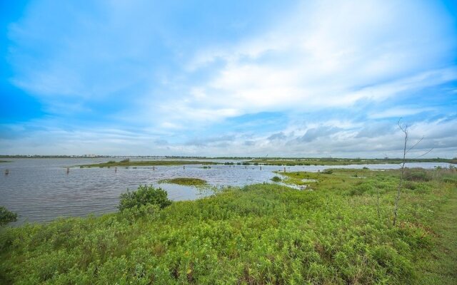 Family Tides 371 by RedAwning