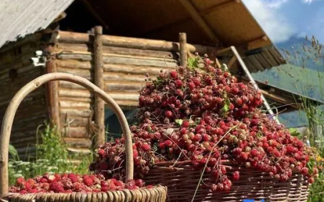Hemu Tianhe Yuan · Fairy Tale Forest Holiday Homestay (Hemu Scenic Area Hemuqiao Branch) – Outside – Altay