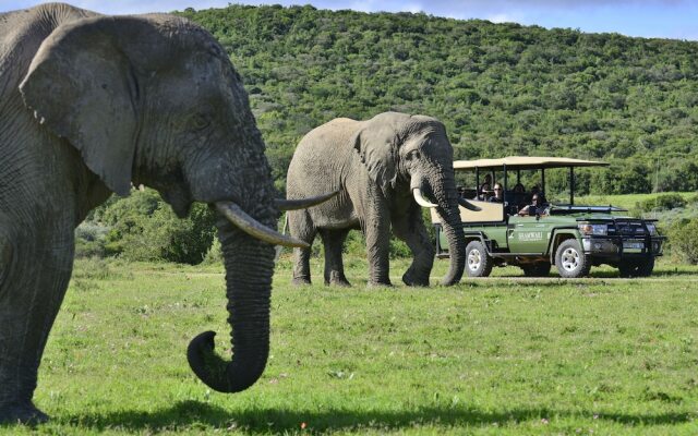 Shamwari Sarili Lodge