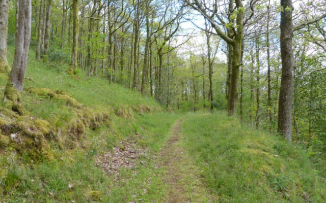 Holiday Home Y Barcud Coch
