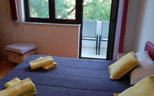 Apartments in Crikvenica 41855
