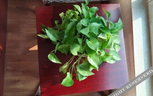 Chongqing Jinhong Sunshine Hotel