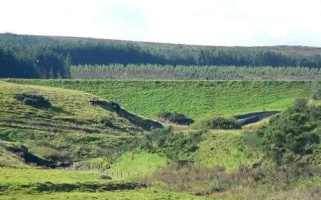 Carronbridge Guest House