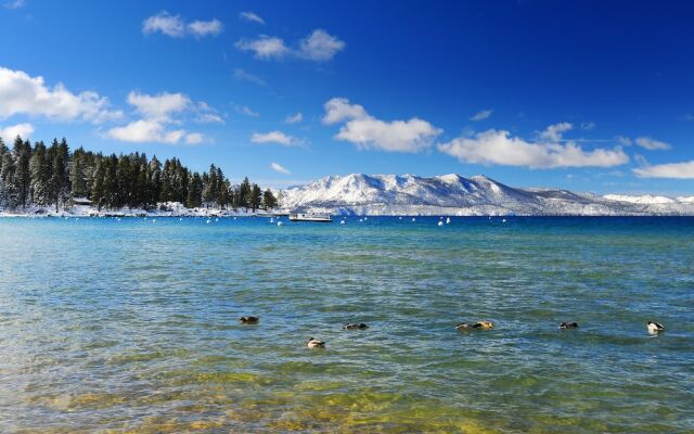 Peaceful Timber - 2 Br Home