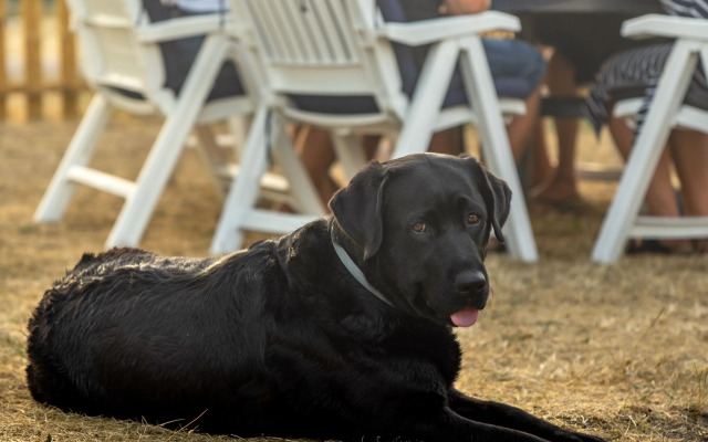 Haga Park Camping & Stugor