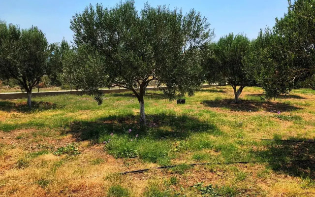 The Hillhouse near Alexandroupolis (1st floor)