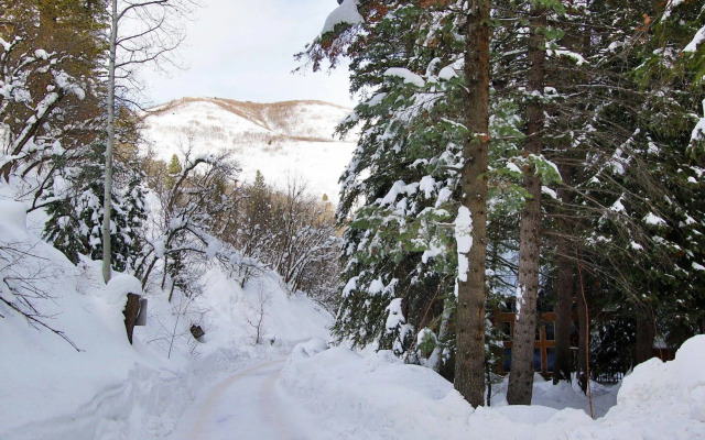 Log Cabin on the Stream