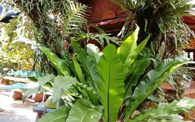 Sun smile(cafe & homestay)