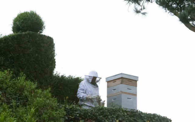 Château de La Ballue