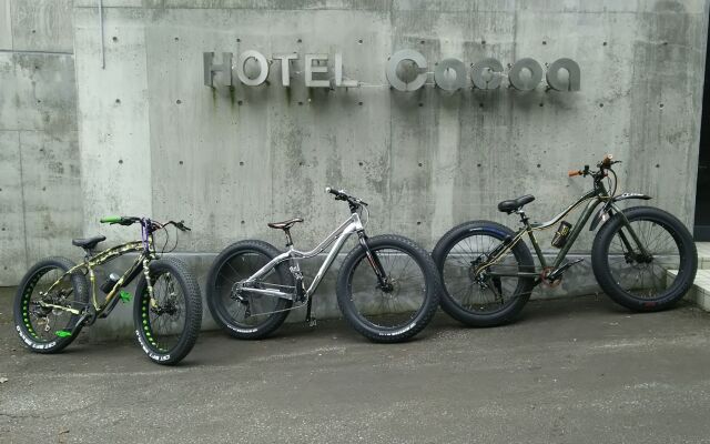 Hotel Cocoa