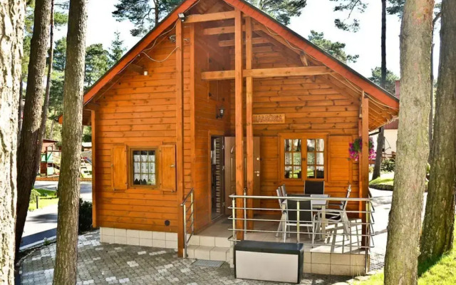 Four -anniversary Type B