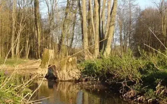 La Belle Moriniere