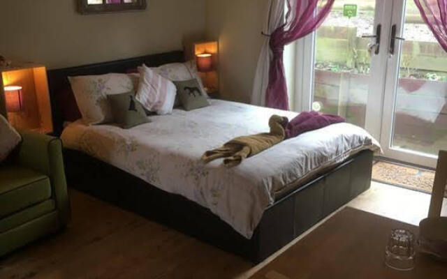 Devon's Duck n Dane B&B