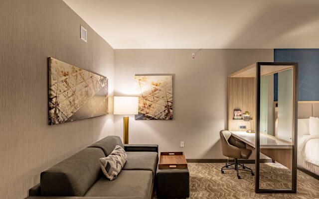 SpringHill Suites by Marriott Dallas McKinney/Allen