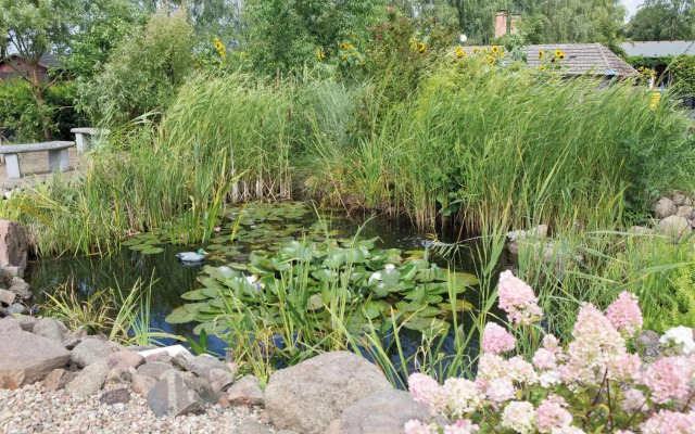 Apartmenthaus am Grienericksee
