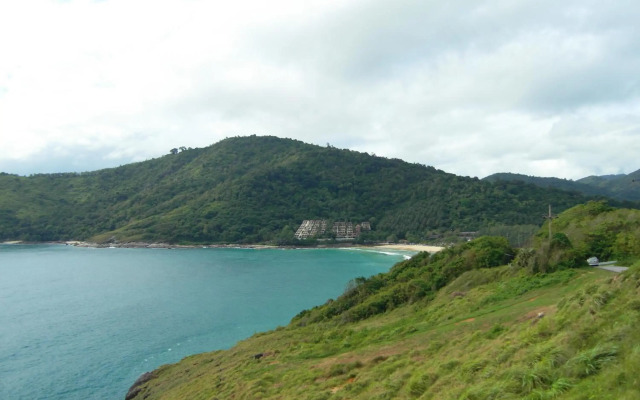 Palm Village