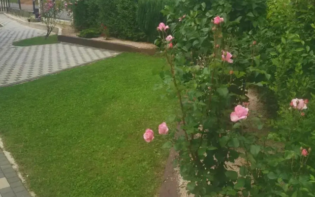 Apartman Nika
