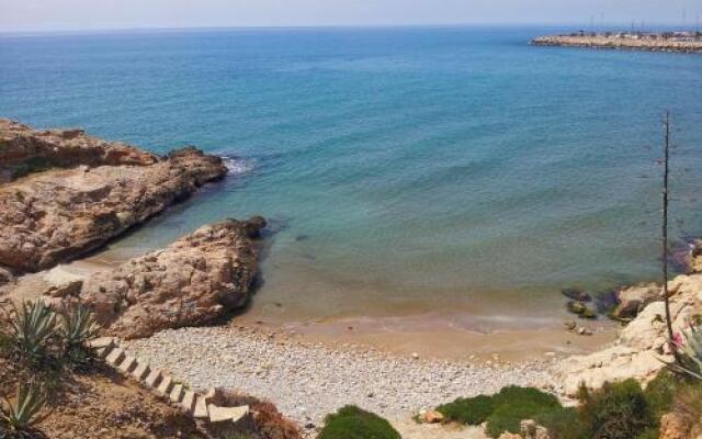 Gaviota Y Vora Mar