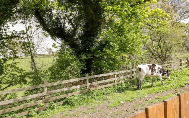 The Old Grainstore