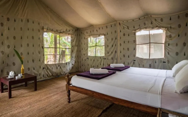 Amritara Riverside Luxury Tents