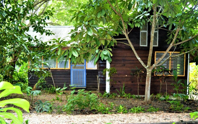 Jungle Like Oasis in San Ignacio - Secluded Cabaña Retreat Close To Mayan Ruins