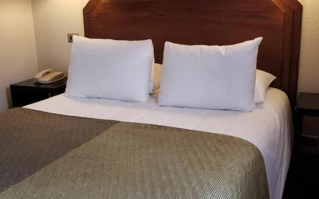 Hotel Gavina Express