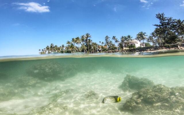 Turtle Eco Beach Resort