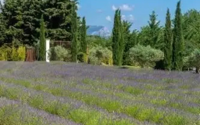 Aix chambre romantique, VRAI JACCUZZI 2 PERSONNES