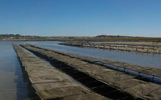 Villa Vista Mar Piscina Suites