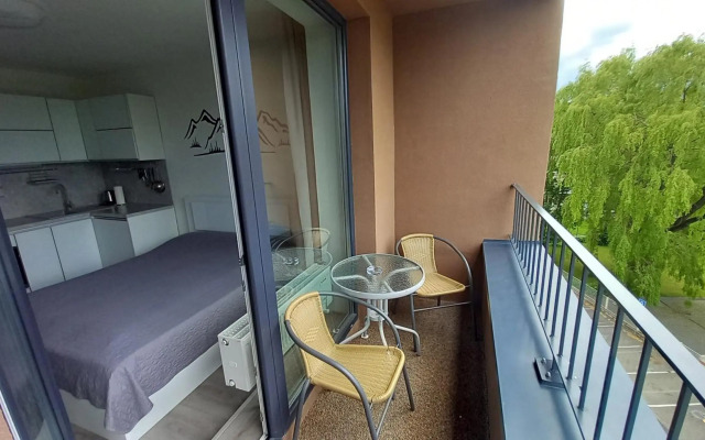 Mountain View Studio Apartment