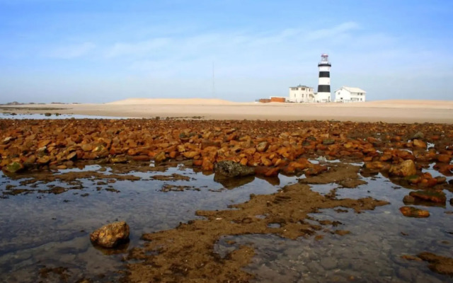 Modern Seaview Apartment