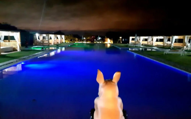 The Farm Lodges & Spa