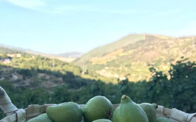 Private Douro- Quinta das Susandas