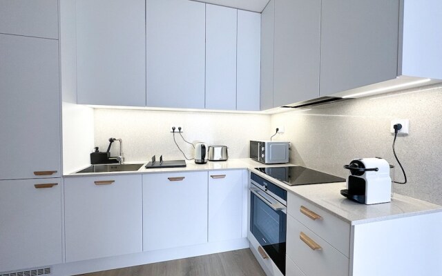 Modern Holesovice Apartment