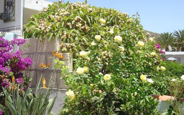 Casa-Limona-in-Teneriffas-sonnigem-Sueden