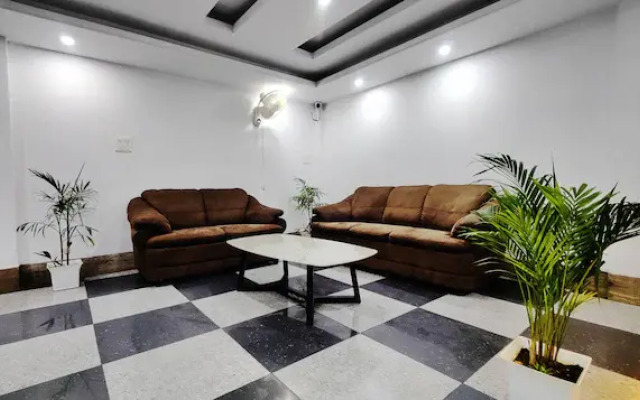 Daffodils The White House